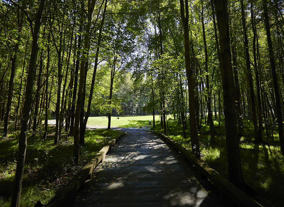 Deerwood Country Club Bridge