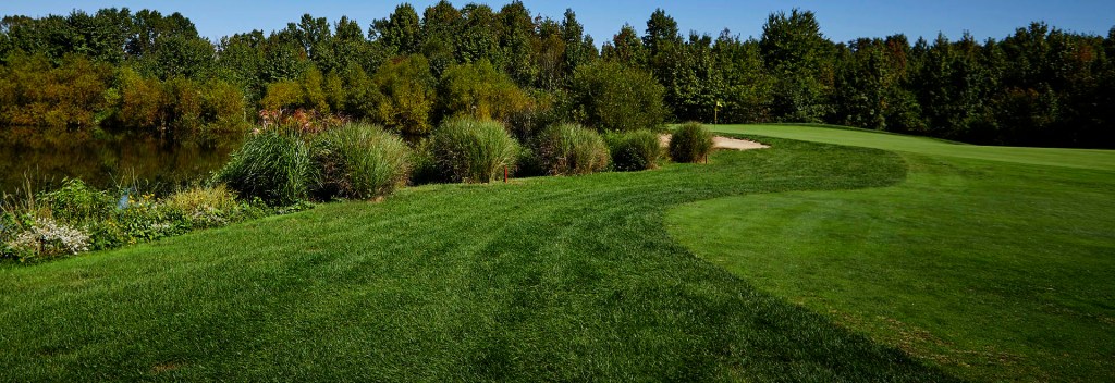 Manicured golf course green