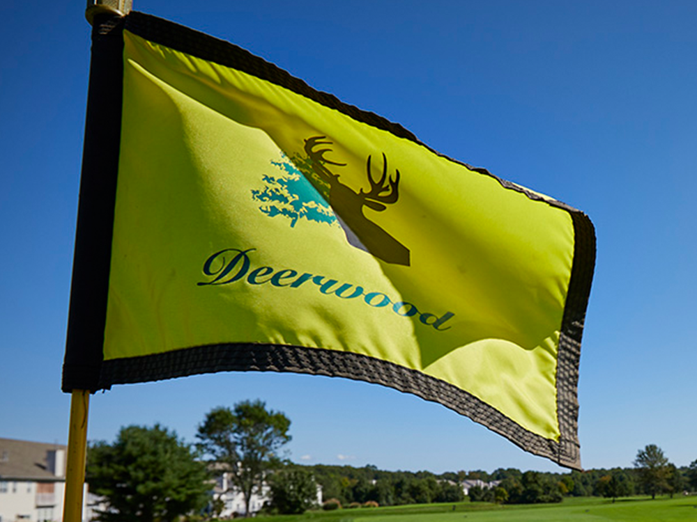 Flag with course logo