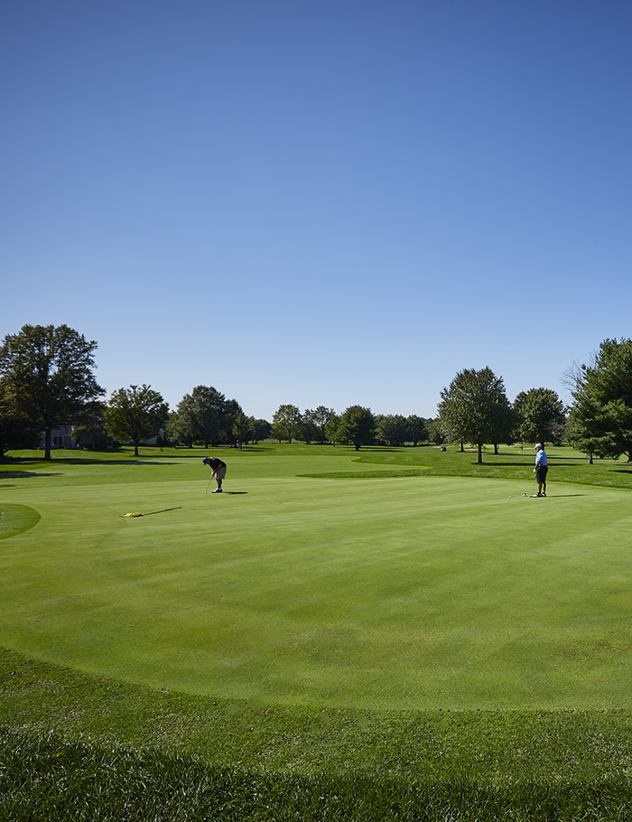 Golfers on golf course