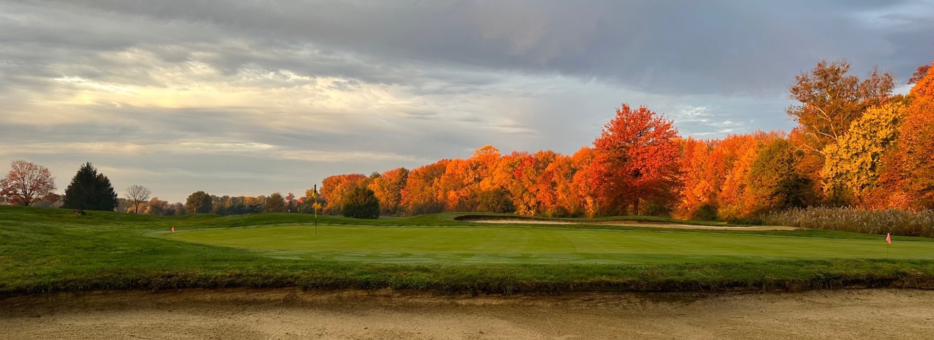 Golf course at sunset with orange trees